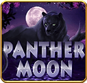 Winbox88 Panther Moon