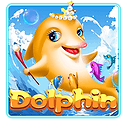 winbox88 dolphin