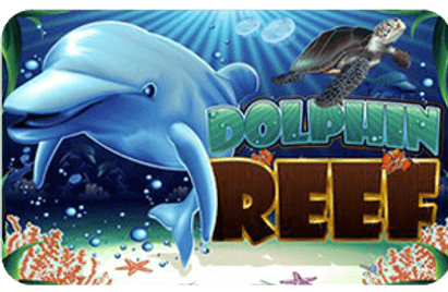 dolphin reef