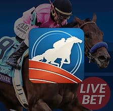 Winbox RCB988 horse racing