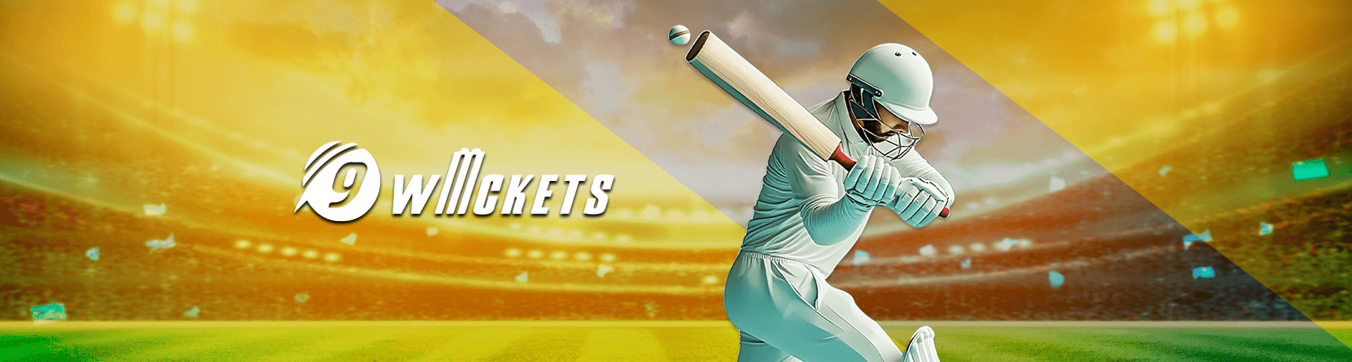 9 wickets game page banner